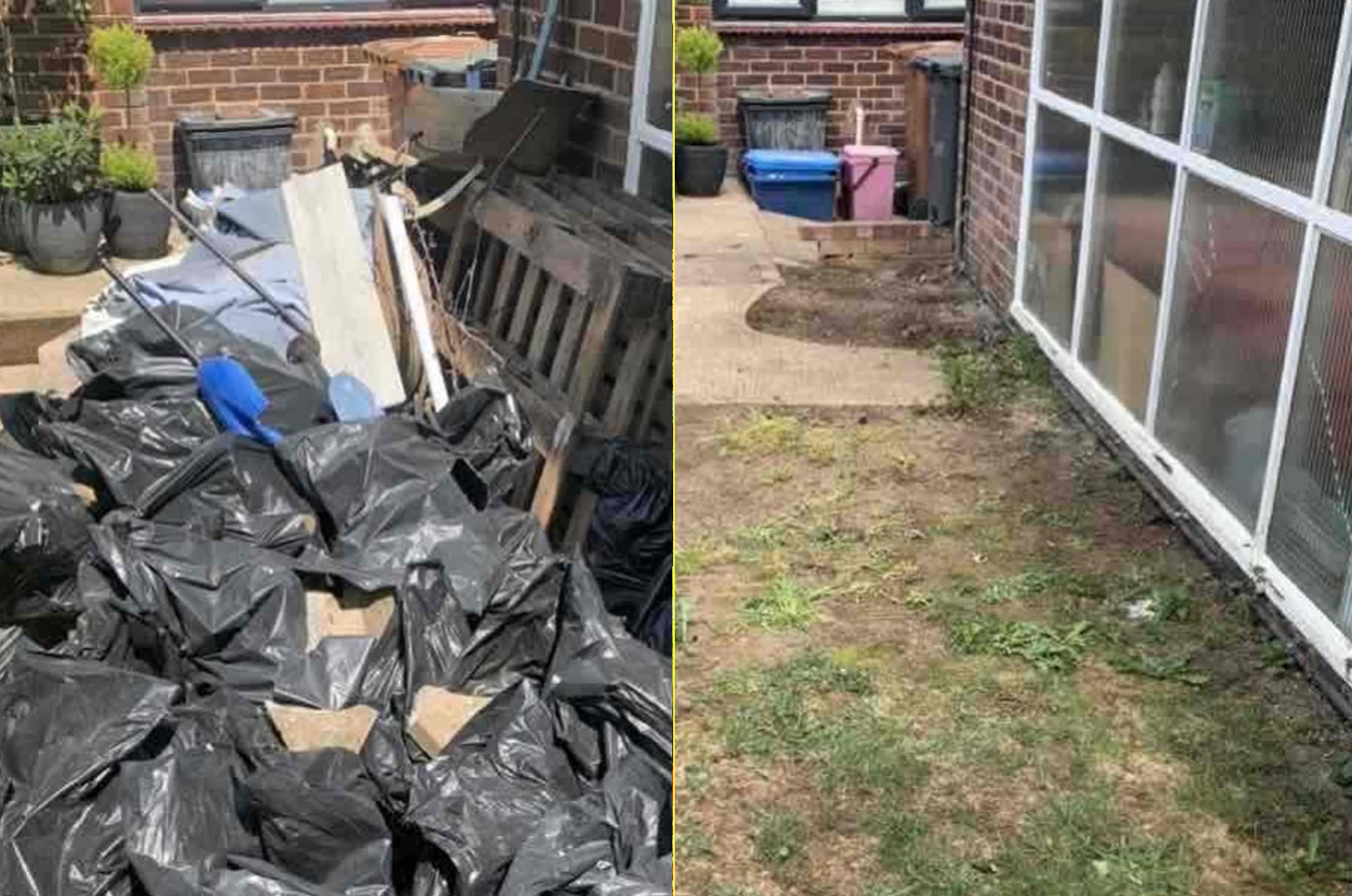 Garden clearance 1